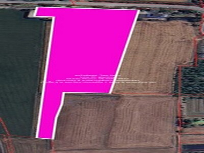 ขายบ้าน 2 ชั้น พร้อมที่ดินทุ่งนา อ.นครชัยศรี นครปฐม 11-3-13 ไร่ 