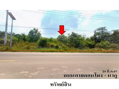 ขายที่ดินว่างเปล่า ถ.สายดอนโมง-นาคู ต.หนองญาติ จ.นครพนม