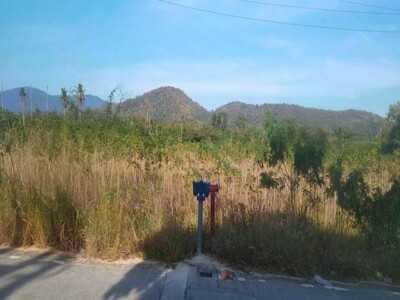 ขายที่ดินศรีราชาชลบุรี 51-1-62.4 ไร่     