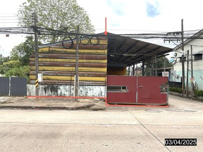 ขายโกดัง สุราษฎร์ธานี  อำเภอ พุนพิน จังหวัด สุราษฎร์ธานี