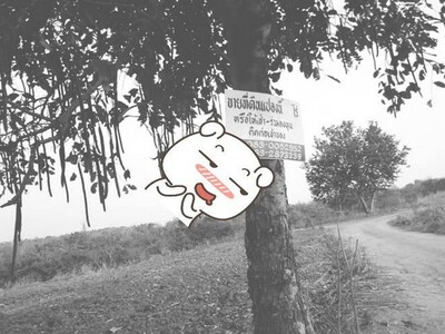 จากใจคนขายถึงใจผู้ซื้อ  ที่บนเนินเขา สูงจากน้ำทะเล หล่มเก่า เพชรบ