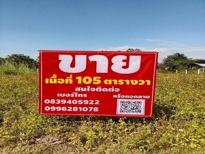ขายที่ดินถมแล้ว อำเภอแม่แตง จังหวัดเชียงใหม่ เนื้อที่ 105 ตารางวา