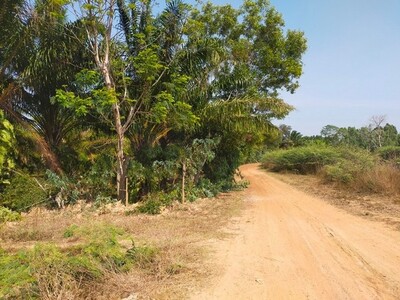 ขายที่ดิน อำเภอพนมดงรัก จังหวัดสุรินทร์ ถนนบ้านรุน - บ้านโคกแสง  
