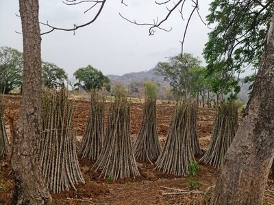 บอกขายที่ดินทำเลดีราคาคุยได้  ขาย/เช่า ที่ติดภูเขาเมืองนครสวรรค์ 