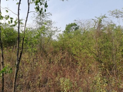 บอกขายที่ดินทำเลดีราคาคุยได้  ขายที่แปลงสวยติดติดทางหลวง1107 จ.ตา