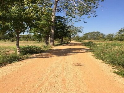 ขายที่ดิน7ไร่95ว.1.1ล. บ.หนองบัวขาว-โนนกอก รอบเมือง เมืองชัยภูมิ