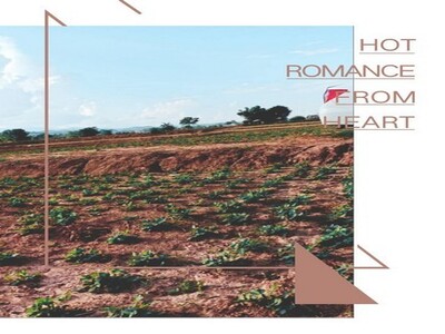 บอกขายที่ดินทำเลดีได้  ขายที่ติดแม่น้ำน่าน อ.ท่าวังผา น่าน 096882