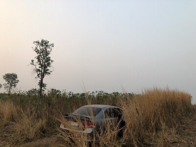 บอกขายที่ดินทำเลราคาได้ ที่บนเนินเขา สูงจากน้ำทะเล หล่มเก่า เพชรบ