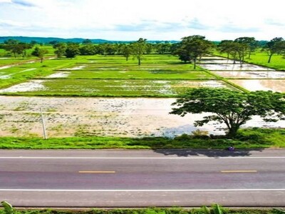 ขายที่นาติดถนนดำ วิวภูเขา ใกล้ปราสาทหินเมืองต่ำ ประโคนชัย บุรีรัม
