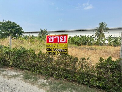 ขายที่ดิน 400 ตารางวา  ซอยกิ่งแก้ว25/1   ราชาเทวะ  บางพลี