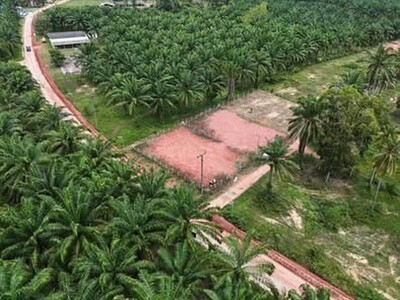 บอกขายที่ดินทำเลดีราคาคุยได้  ที่ติดทะเลฝั่งแดงSeaview สวยมาก