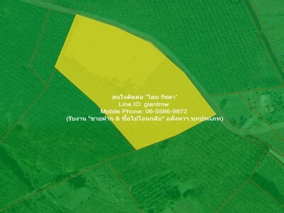 ขายที่ดินทางการเกษตรแปลงใหญ่ อ.ภูเรือ จ.เลย 18-2-64 ไร่ ราคา 5.59