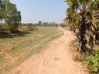 ขายที่ดิน 22 ไร่ 2 งาน 84 ตร.ว. อ.ประทาย จ.นครราชสีมา