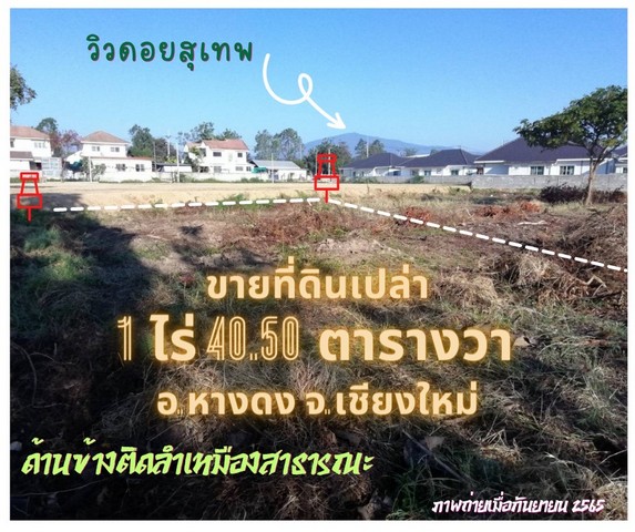 ขายที่ดินเปล่าขนาด 1 ไร่ 40 ตารางวา ต. สันผักหวาน อ.หางดง จ.เชียงใหม่