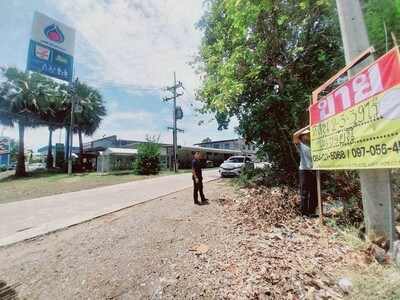 ขายที่ดินเปล่า 2-3-39.7 ไร่ หลังปั๊ม ปตท. ช่อกระถิน นครสวรรค์
