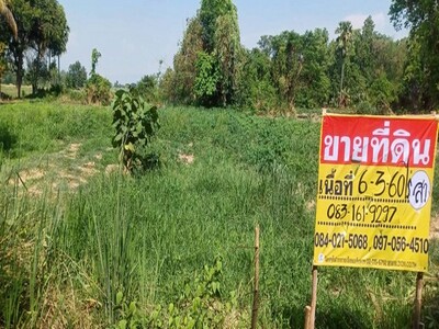 ขายที่ดินในชุมชน ราคาถูก  6-3-60 ไร่ บ้านคลองช้าง  วัดโบสถ์  พิษณ