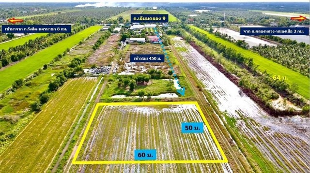 ที่ดินคลอง 9 หนองเสือ ปทุมธานี เนื้อที่ 2 ไร่ เข้าซอย เพียง 450 เมตร