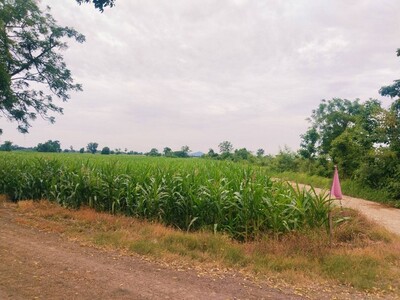 ขาย ที่ดินเปล่า แบ่งขาย 1-2 ไร่ วิวภูเขา 360  โฉนดครุฑแดง