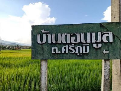ทำเลซื้อขายสิ่งสำคัญ ขายที่ติดแม่น้ำน่าน อ.ท่าวังผา น่าน 09688218