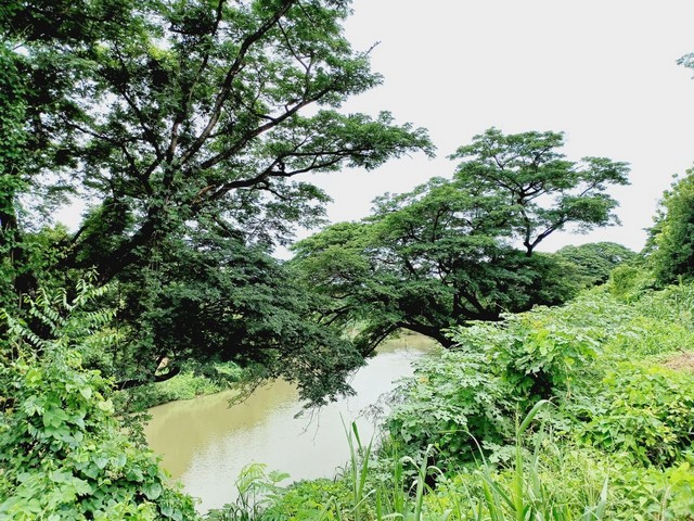 ขายที่ดินติดแม่น้ำป่าสัก แก่งคอย สระบุรี  2 ไร่กว่า บรรยากาศวิวดี เหมาะทำร้านกาแฟ หรือ ทำรีสอร์ท