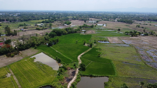  ขายด่วน ! ที่ดินเปล่า 500/ตรว. อ.ห้างฉัตร ใกล้ทางหลวง ไปลำพูน,เชียงใหม่,ลำปาง