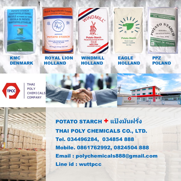 แป้งมันฝรั่ง, แป้งโปเตโต้, โปเตโต้สตาร์ช, แป้งมันฮ่องกง, Potato Starch, Potato Starch Holland