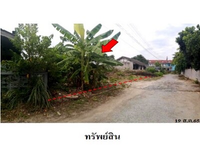 ขายที่่่ดินว่างเปล่า ถนน พาณิชพัฒนา 1 พนัสนิคม ชลบุรี