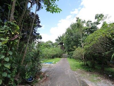 ขายที่ดิน 3-2-41 ไร่ แม่ริม เชียงใหม่