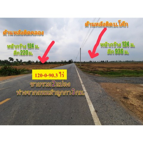 ขายที่ดินคลอง14 ลำลูกกา ด้านหลังติดบริษัทโค๊ก ลำลูกกา จ.ปทุมธานี