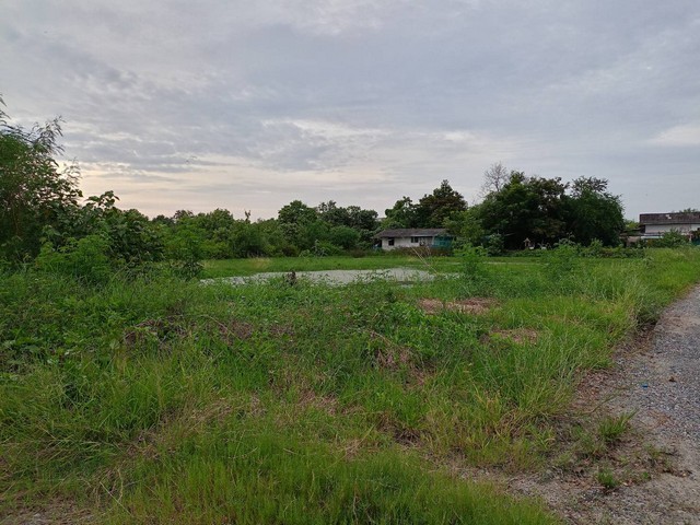 ขานด่วน ที่ดิน 46 ไร่ ติดถนนมอเตอร์เวย์ ตำบลท่าสะอ้าน อำเภอบางปะกง จังหวัดฉะเชิงเทรา