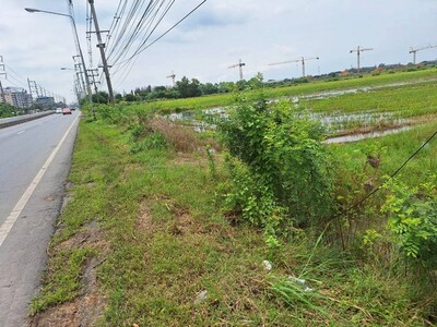 ขายที่ดินติดถนนใหญ่ ลำลูกกา 60 ไร่ ใกล้ทางด่วนฉลองรัช