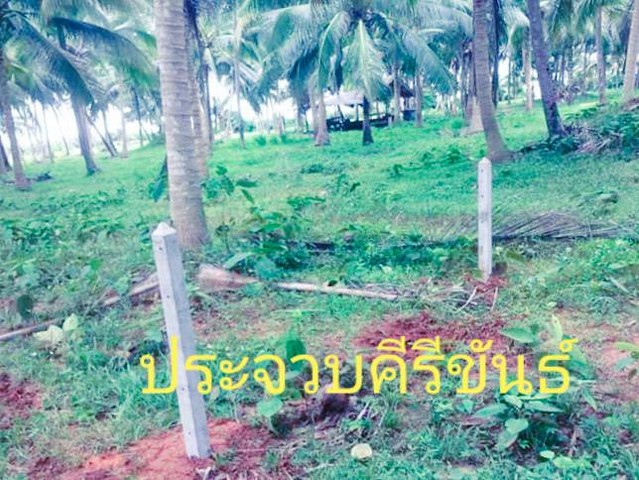 แนะนำทรัพย์น่าซื้อเป็นเจ้าของ ขายที่ดินติดทะเล ฝั่งแดง แปลงเล็ก วาละ 6500-6900 บาทโทร 083-712-4115