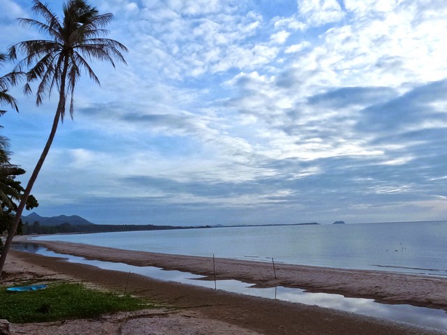 แนะนำทรัพย์น่าซื้อเป็นเจ้าของ ขายที่ริมหาดติดทะเล หาดสะพลี264 ตร.วา ชุมพร 16 ลบ. โทร 083-712-4115