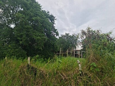 ซื้อทรัพย์เล็งขาย ขายที่ปากช่อง 2-8ไร่ โฉนด ต.วังไทร ไร่ละ 2.9 ลบ