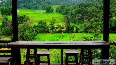 ร้านกาแฟเชียงใหม่ :: “แม่กลางหลวงฮิลล์คอฟฟี่” ร้านกาแฟวิวนาข้าว บ้านแม่กลางหลวง ดอยอินทนนท์ อ.จอมทอง จ.เชียงใหม่