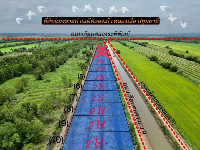 ที่ดินแบ่งขายทำเลดี เลียบคลองระพีพัฒน์ คลอง9 หนองเสือ