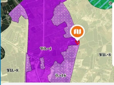 ขายที่ดินผังม่วงใกลินิคมอมตะชลบุรี เนื้อที่  7-0-27 ไร่