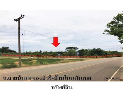 ขายที่ดินว่างเปล่า ต.ท่าช้าง อ.เฉลิมพระเกียรติ จังหวัด นครราชสีมา