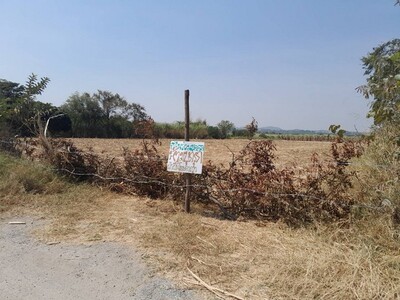 จากใจคนขายถึงใจผู้ซื้อ ขายที่ปากช่อง 2-8ไร่ โฉนด ต.วังไทร ไร่ละ 2