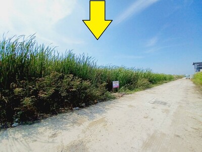 ขายที่ดินคลอง4 ลำลูกกา 1 ไร่ ราคาเจ้าของขายเอง