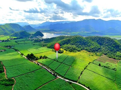 ขายที่ดินหนองปรือ กาญจนบุรี 99 ไร่ อยู่ใกล้อ่างเก็บน้ำห้วยกระพร้อ