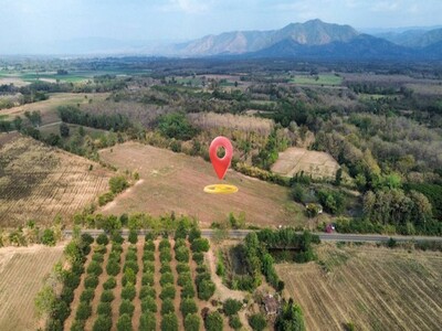 ขายที่ดินวิวภูเขา 19-3-15 ไร่ ต.นาป่า อ.เมือง จ.เพชรบูรณ์