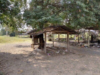 เล็งทรัพย์ดีเก็งอนาคต ขายที่ปากช่อง 2-8ไร่ โฉนด ต.วังไทร ไร่ละ 2.