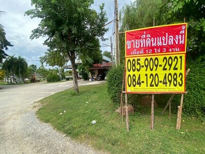 ขายที่ดิน 12 ไร่ 3 งาน  ติดถนนทางหลวง  โซนหมอนนาง พนัสนิคม ชลบุรี