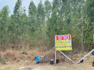 ขายที่ดินถมแล้ว 2 ไร่  บางนาการ์เด้นท์10  โซนบางเสาธง  ใกล้เอแบคบ