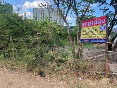 ขายที่ดิน 100วา ที่ดินทำเลศักยภาพ โซนบางแก้ว ใกล้เมกาบางนา