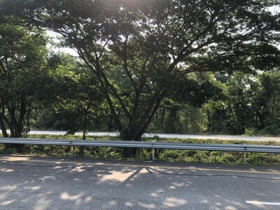 บอกขายที่ดินทำเลดีราคาได้ ขายที่่สวยติดถนนพหลโยธิน AH1 บ้านตาก จ.