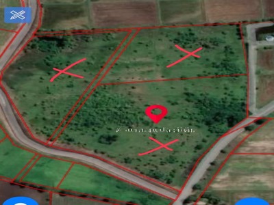 ขายที่ดินแปลงสวย ทำเลทอง อำเภอโคกสำโรง จังหวัดลพบุรี