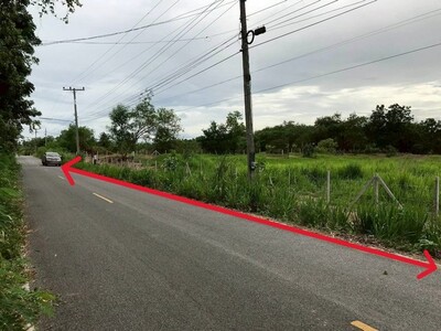 ขายที่ดิน5ไร่ 1.99ล. ถ.2เลน วังธารทอง ต.ดอยหล่อ ดอยหล่อ เชียงใหม่