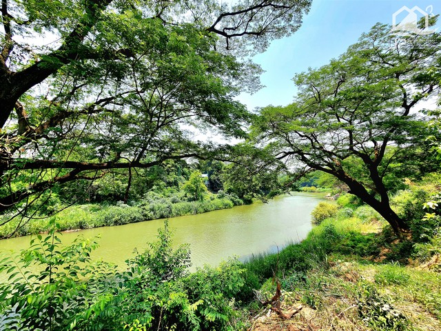 ขายที่ดินติดแม่น้ำป่าสัก แก่งคอย สระบุรี  2 ไร่กว่า บรรยากาศวิวดี เหมาะทำร้านกาแฟ หรือ ทำรีสอร์ท